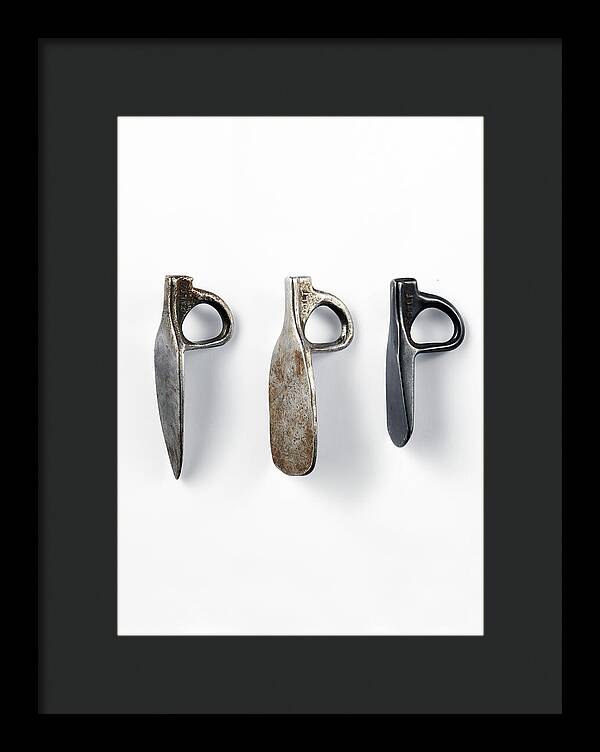 Dolt Arrows 2 | Framed Print