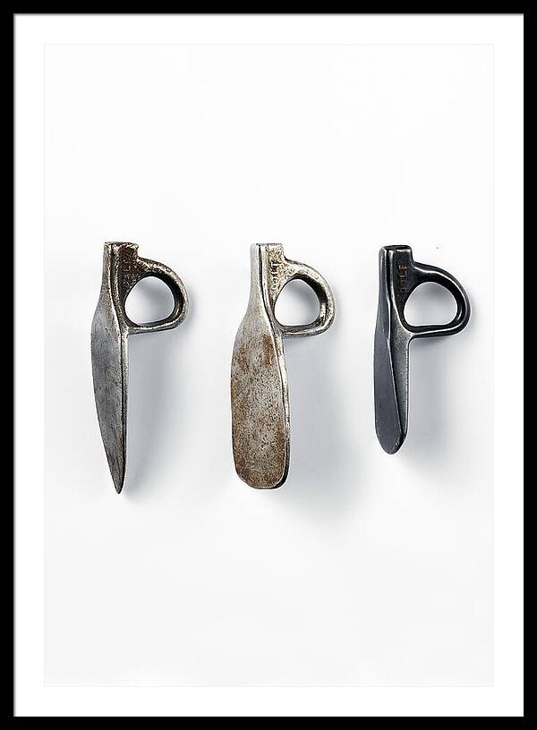 Dolt Arrows 2 | Framed Print