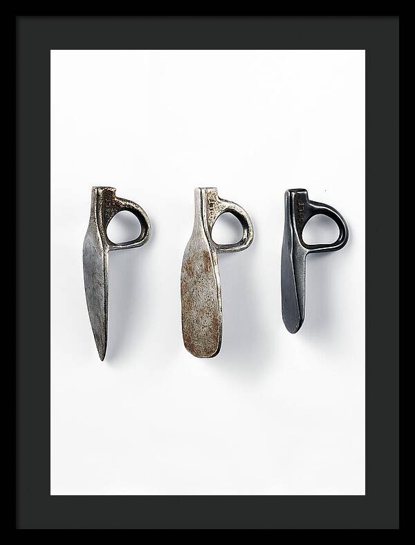 Dolt Arrows 2 | Framed Print