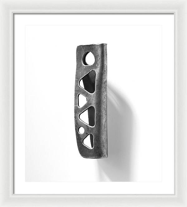 DOLT Cutout Piton | Framed Print