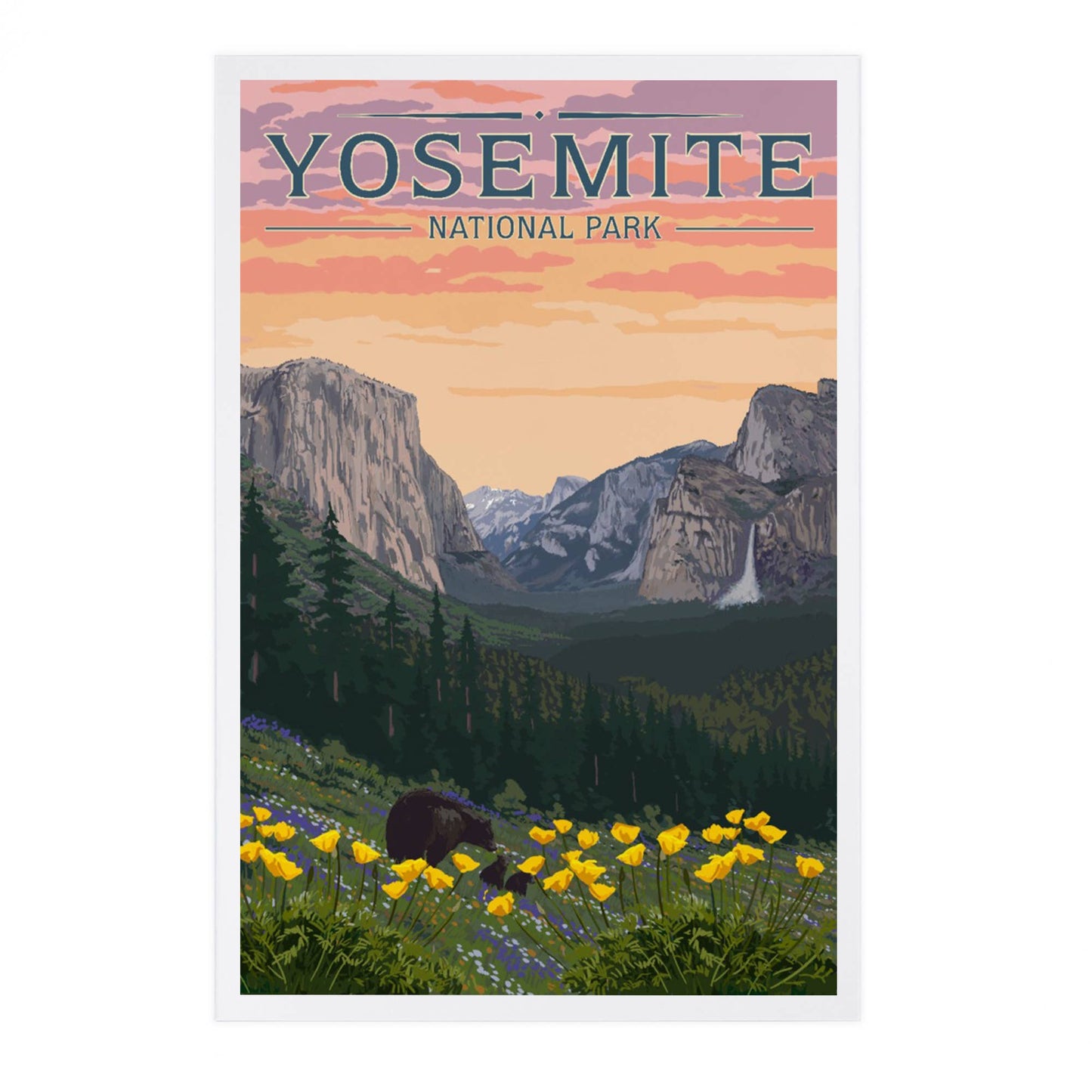 PREMIUM POSTCARDS Yosemite National Park, California, Bears