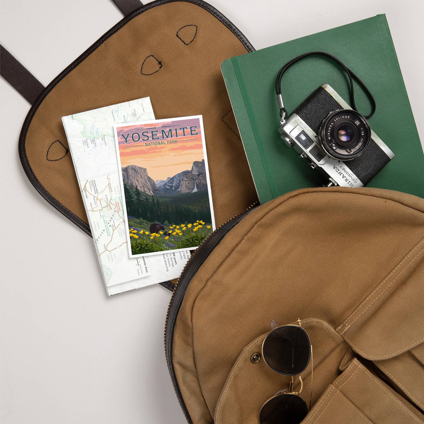PREMIUM POSTCARDS Yosemite National Park, California, Bears