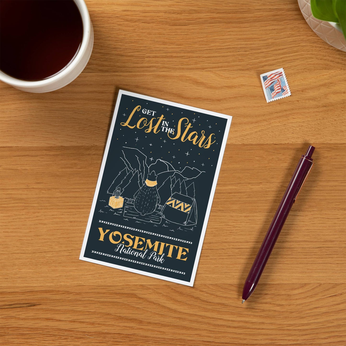 PREMIUM POSTCARDS Yosemite National Park Bear Stargazing
