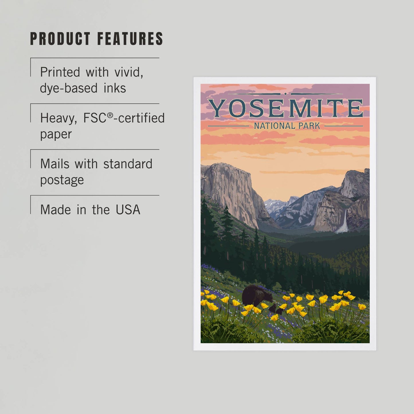 PREMIUM POSTCARDS Yosemite National Park, California, Bears