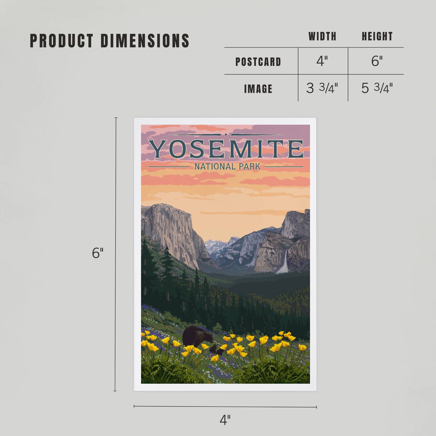 PREMIUM POSTCARDS Yosemite National Park, California, Bears