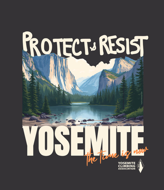 Protect & Resist: Limited Series #2. 18" x 18" Poster