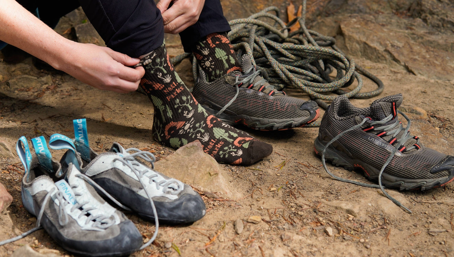 National Park Roundup Sock: L/XL, Brown