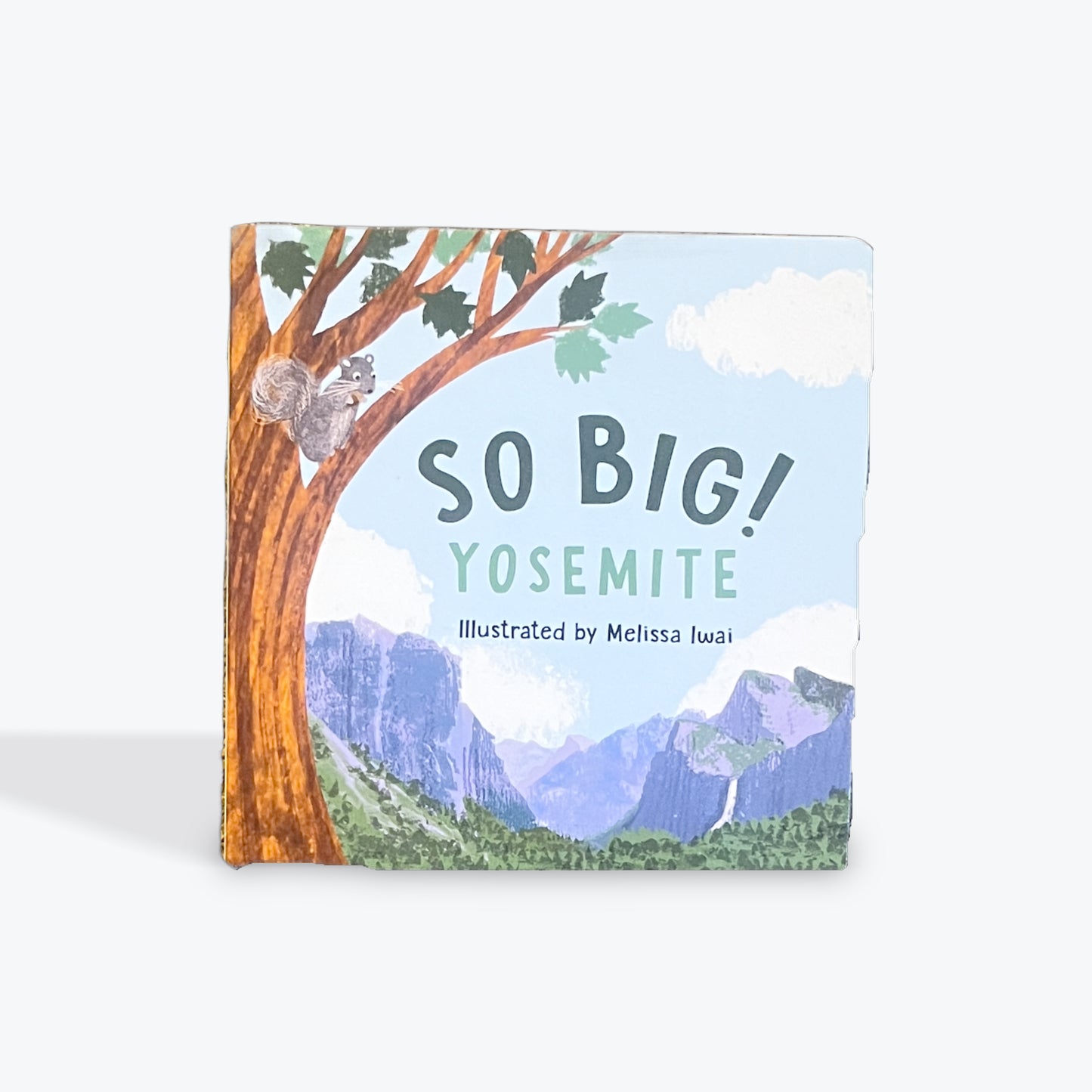 So Big! Yosemite (Board Book)