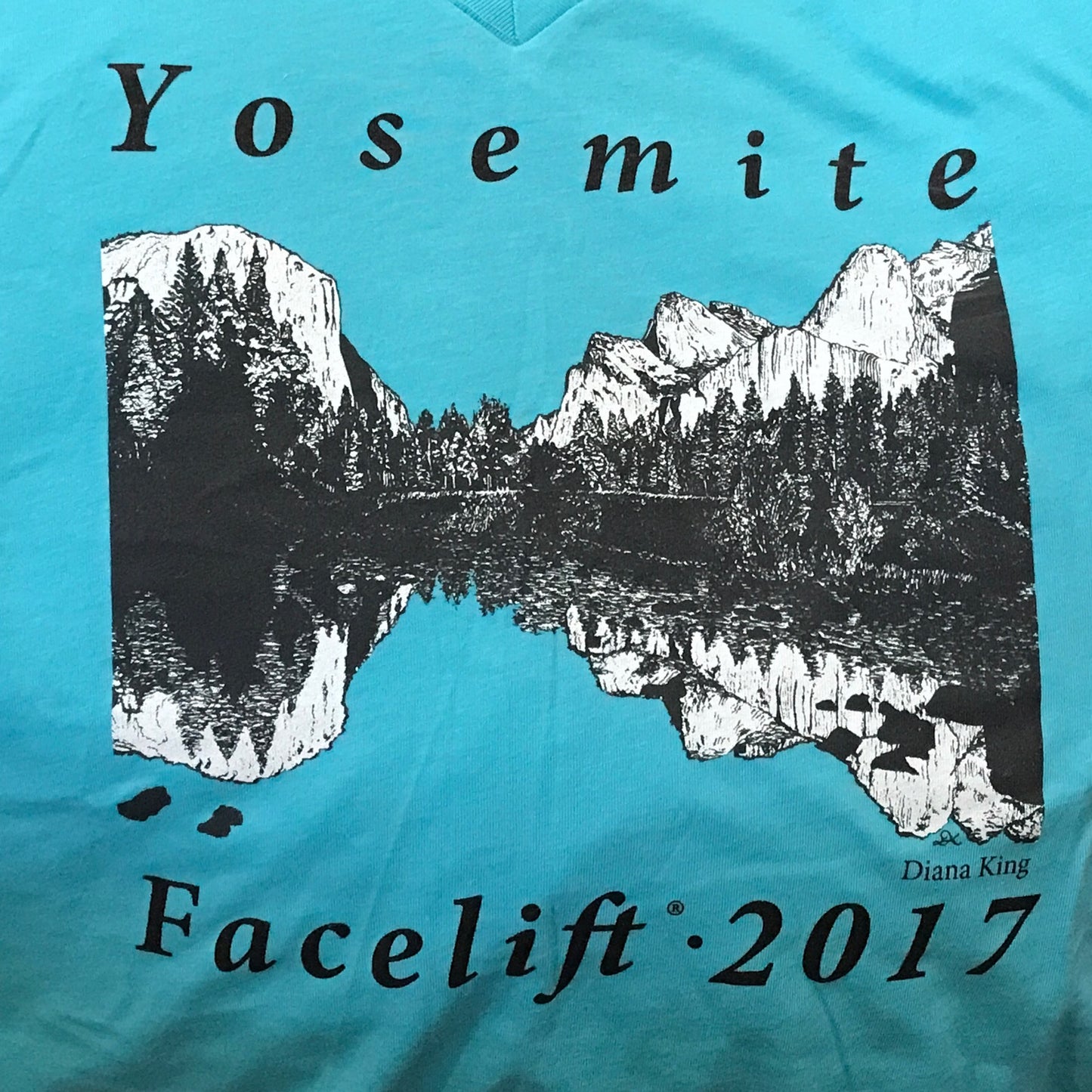 2017 Facelift Womens Teal T