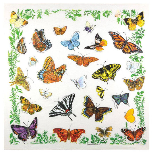 Printed Image Butterflies Bandanna