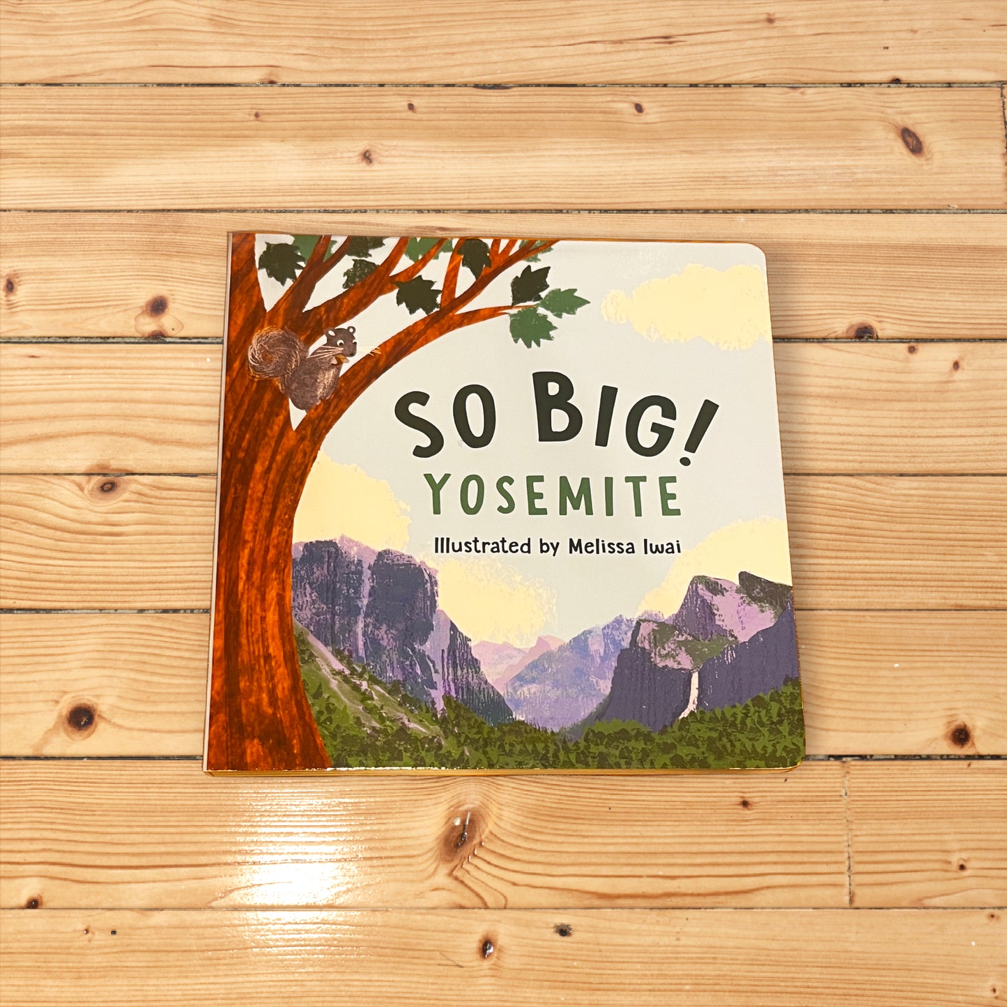 So Big! Yosemite (Board Book)