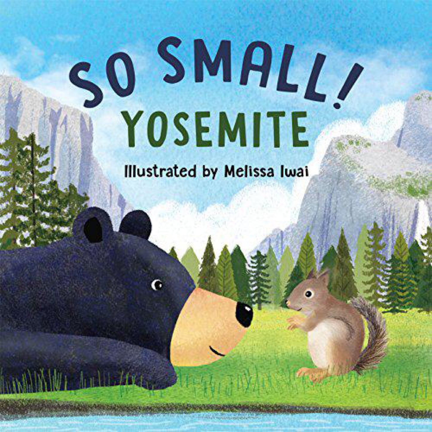 So Small! Yosemite (Board Book)