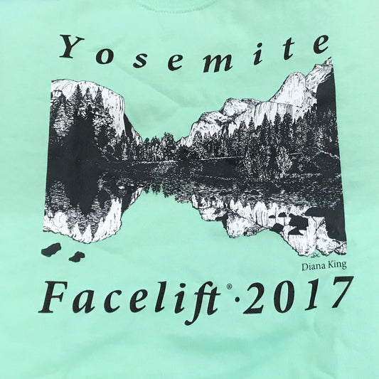 2017 Facelift Valley View Green T