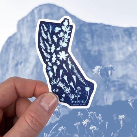 Sierra Sown — California Sticker