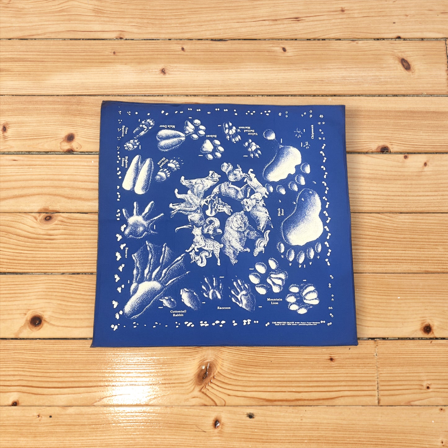 Printed Image Bandanna