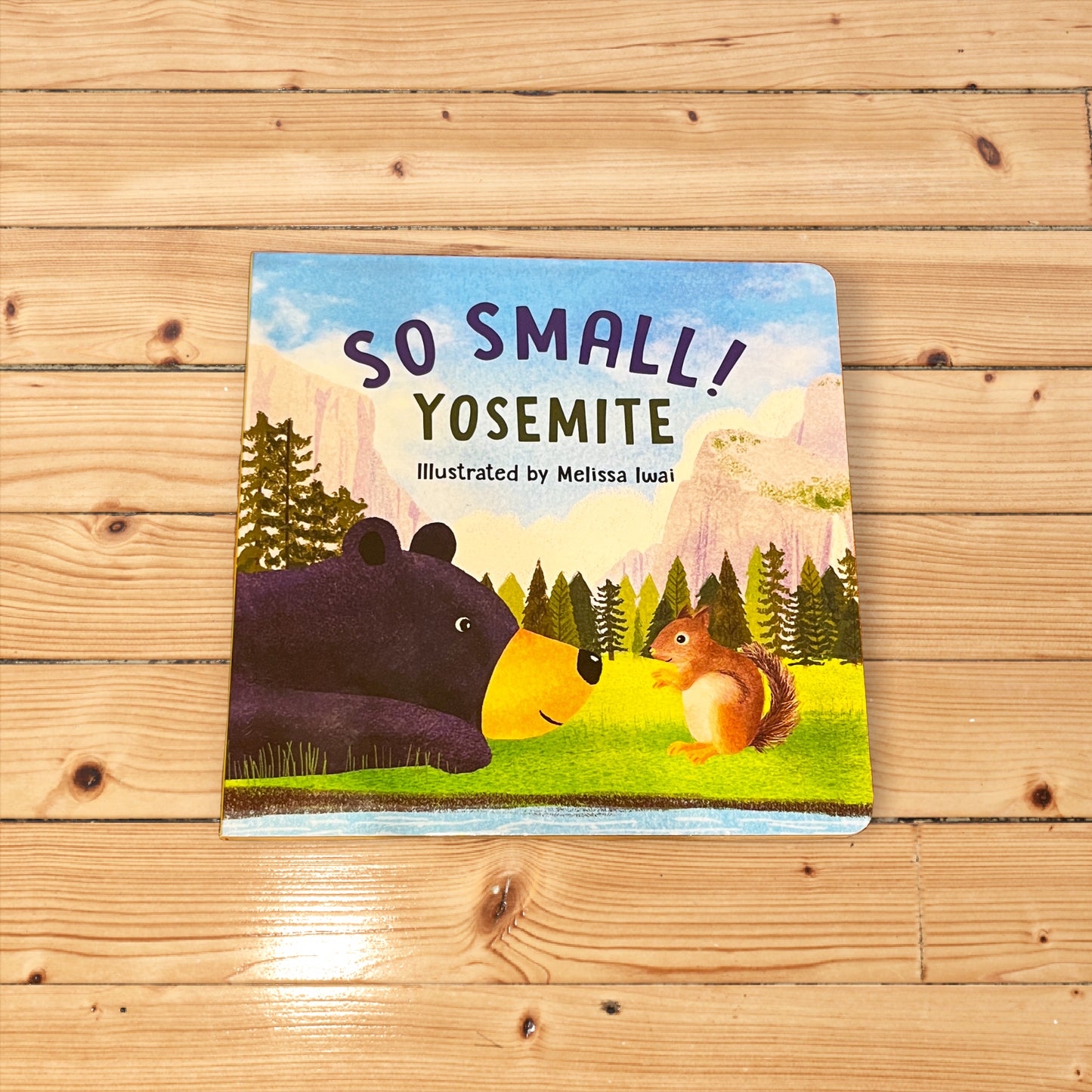 So Small! Yosemite (Board Book)