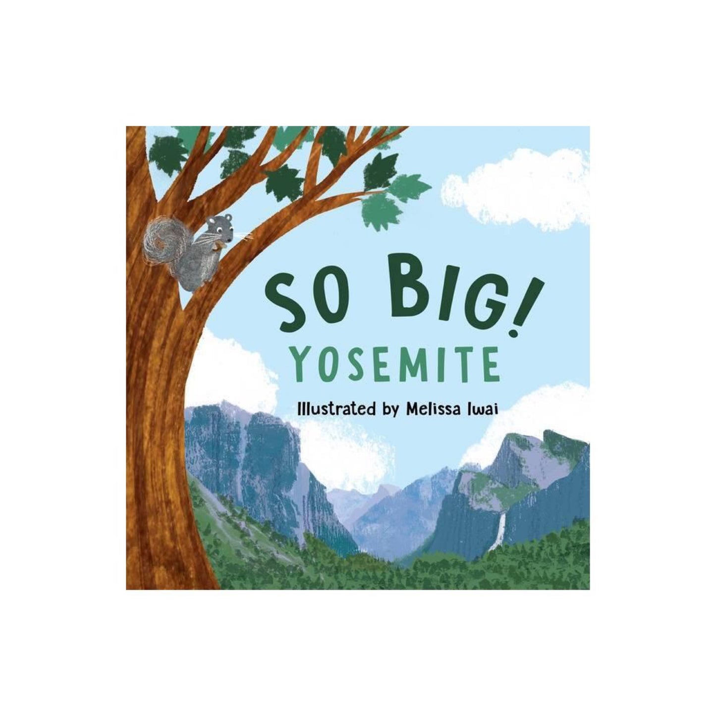 So Big! Yosemite (Board Book)